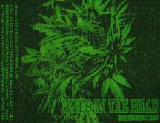 Weed In The Head : Rehearsal 2001 Weed In The Head : Rehearsal 2001